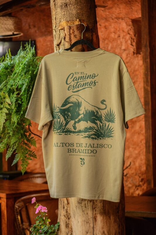 EN EL CAMINO ESTAMOS